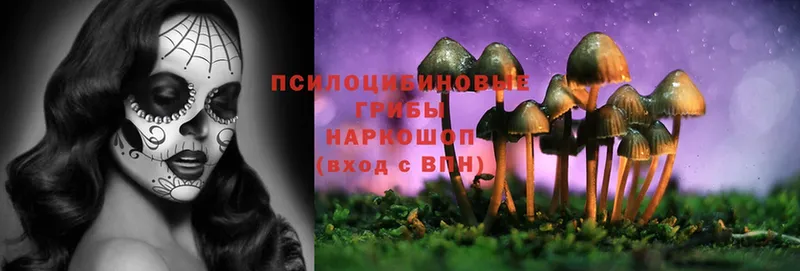 Галлюциногенные грибы Magic Shrooms  гидра как войти  Сим 